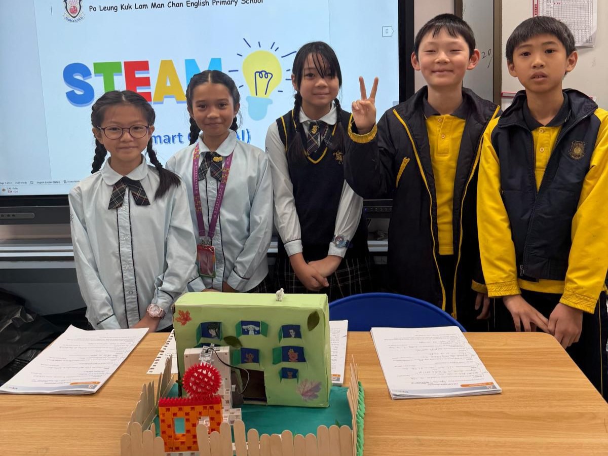 P6 STEAM Project